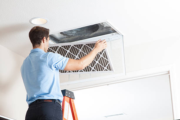 Best Solar-powered HVAC Systems in Johnston, SC